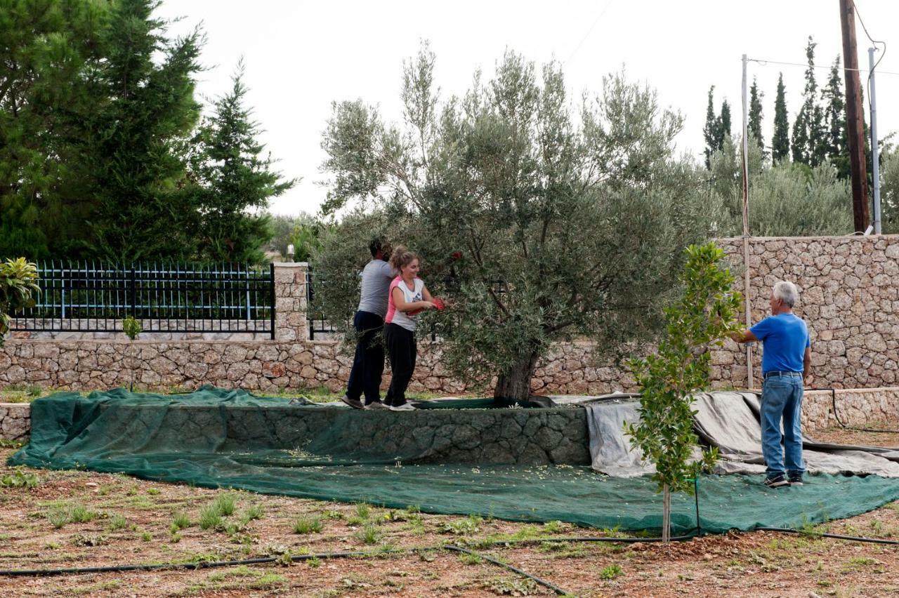 Villa Hermes Porto Cheli Exteriér fotografie